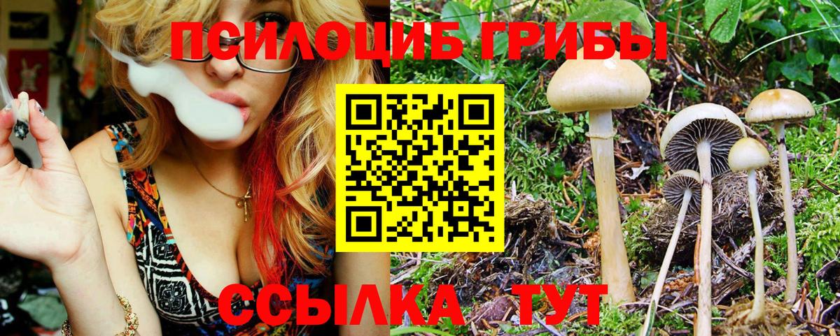 Галлюциногенные грибы мицелий Кинель
