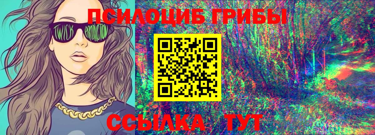 Галлюциногенные грибы Psilocybe  Вход с VPN  Кинель  Псилоцибиновые грибы прущие грибы 